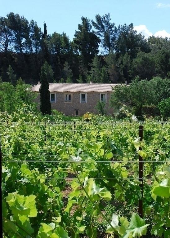 Domaine De "Creva-Tinas" Bed and Breakfast Mailhac Buitenkant foto