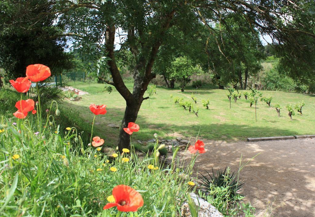 Domaine De "Creva-Tinas" Bed and Breakfast Mailhac Buitenkant foto